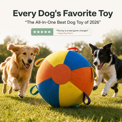Fluffko Durable Jumbo Ball